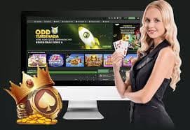 7755bet